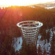 Stezka korunami stromů se světelnými objekty, pohled z výšky