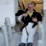 Výcvik asistenčních psů na letišti