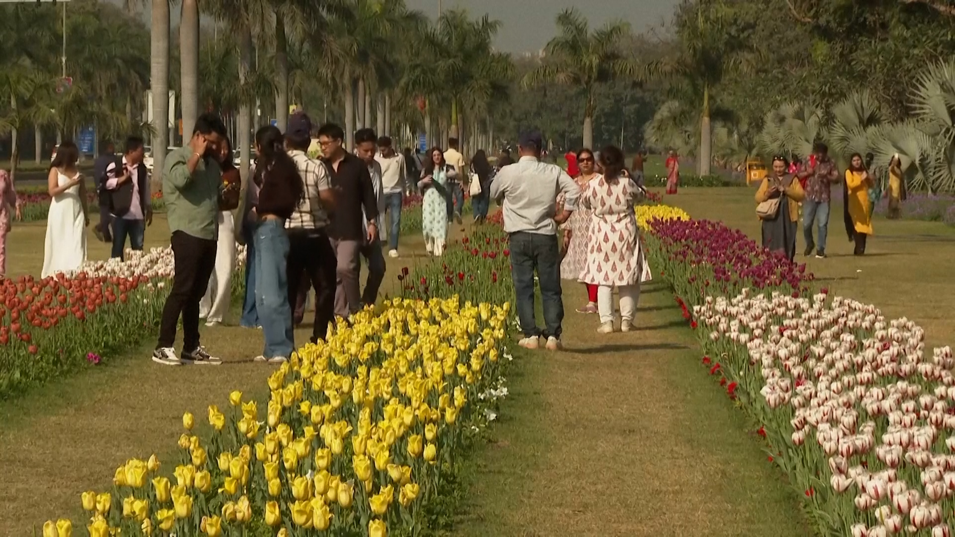Vítání jara v Novém Dillí. Během tradičního festivalu vykvete půl milionu tulipánů
