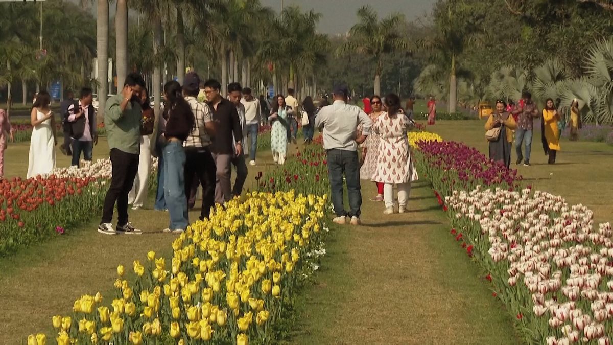 Vítání jara v Novém Dillí. Během tradičního festivalu vykvete půl milionu tulipánů