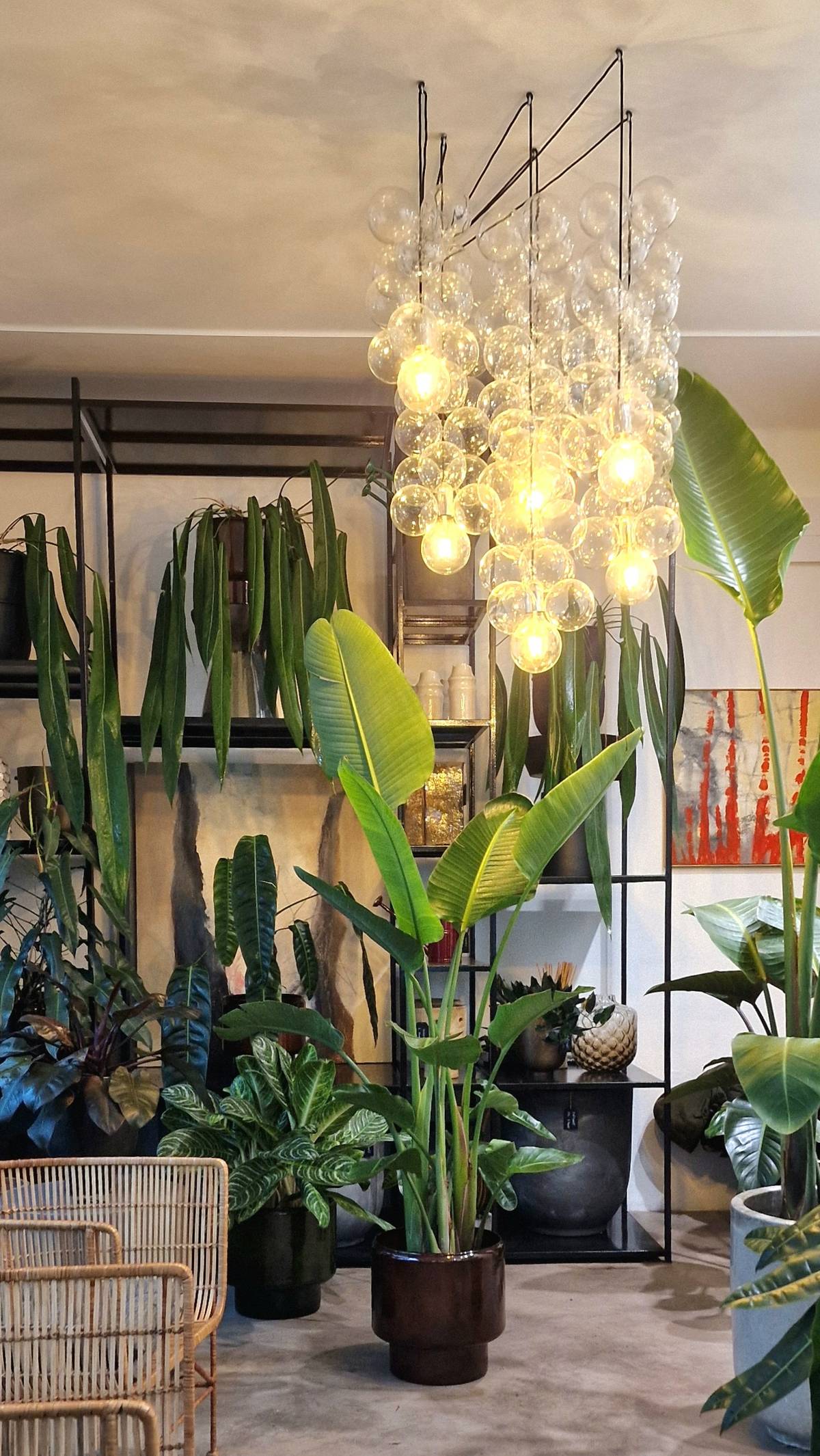 Zálivka souvisí s teplotou místnosti, intenzitou denního světla, druhem rostliny, ročním období a počtem listů.