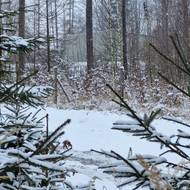 Nový vodojem Bukovno v Jihlavě-Lesnově je ukryty v lesích poblíž vrchu Rudný (Šacberk).