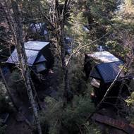 Chatky architekti umístili na pozemek tak, aby nebylo třeba kácet stromy.