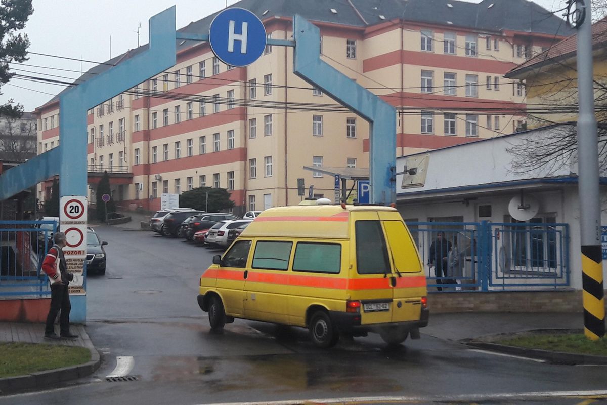 Počet pacientů přijatých na teplické záchytce loni mírně klesl. Opilé děti končí v nemocnicích, nejmladší dívence byly čtyři roky