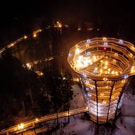 Stezka korunami stromů se světelnými objekty září ve tmě.