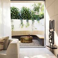 Po celém pozemku jsou rozmístěny subtropické rostliny.