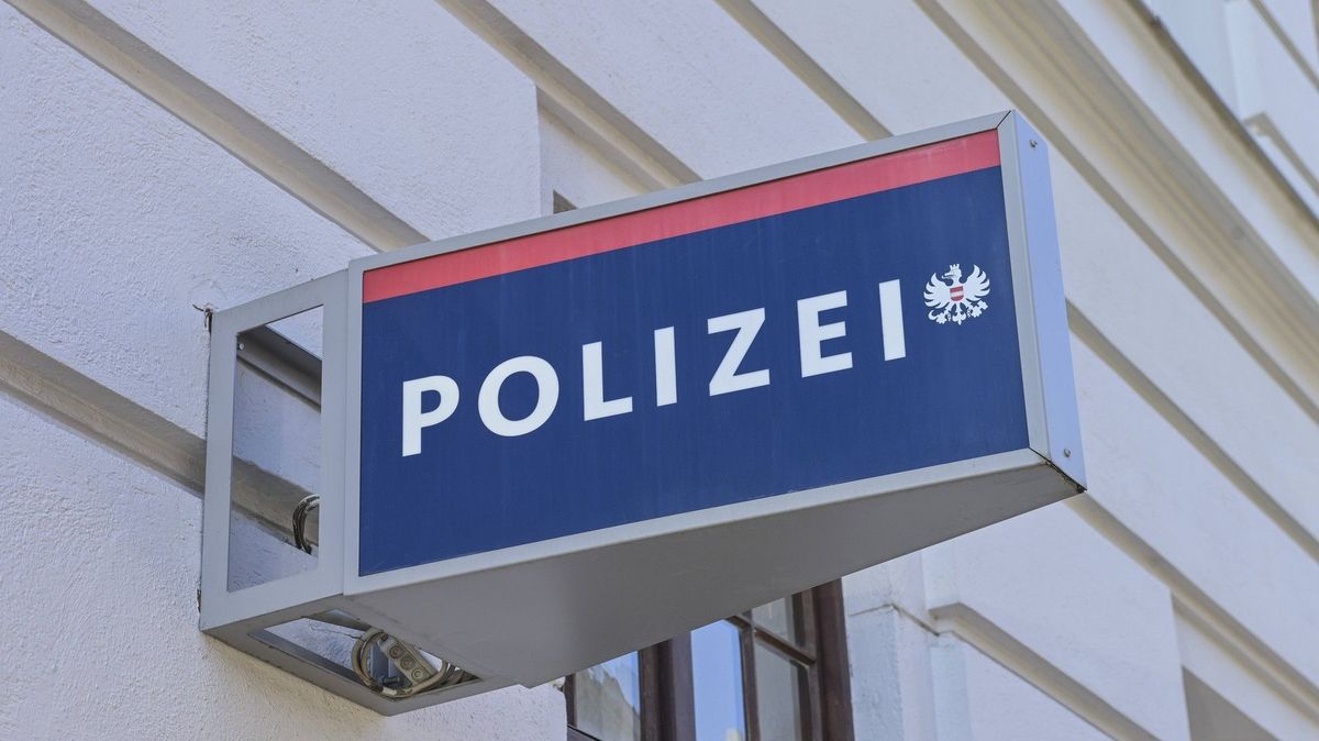 Čtrnáctiletá dívka ubodala ženu na vídeňském hřbitově. Čin si natáčela