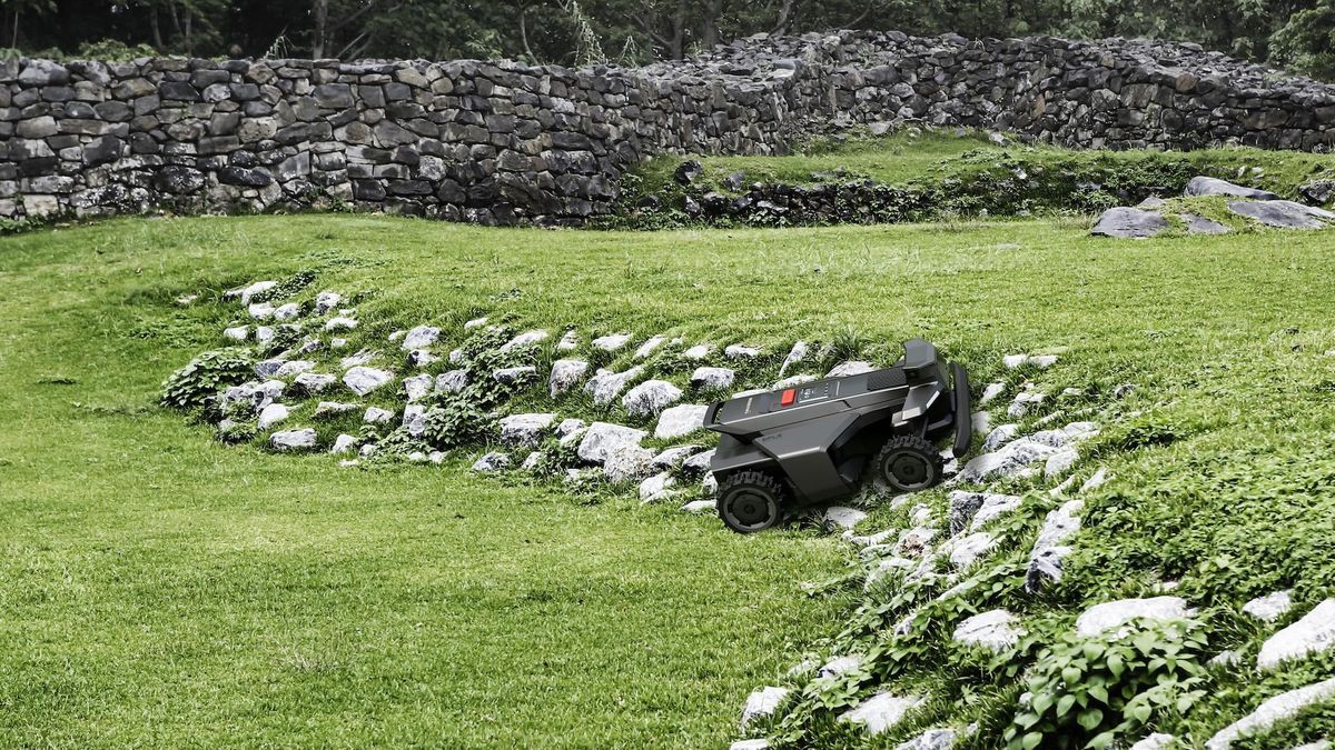 Umělá inteligence pomáhá už i sekat trávu