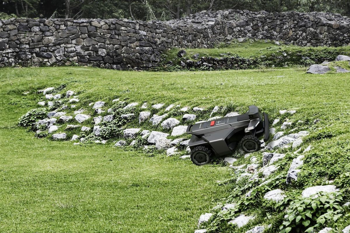 Umělá inteligence pomáhá už i sekat trávu