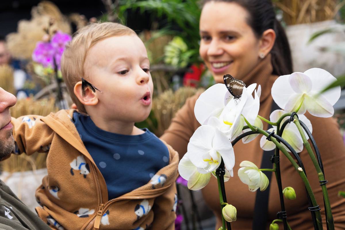 Výstava je atrakcí zejména pro dětské návštěvníky. 