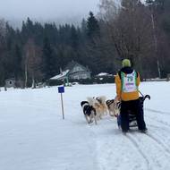 MČR v závodech psích spřežení