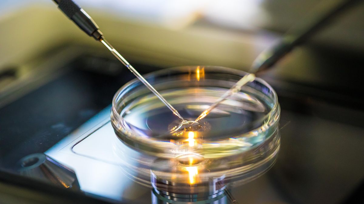 Bělošskému páru na Floridě se narodilo černošské dítě. Klinika zřejmě zaměnila embrya