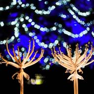 V letošním ročníku expozice některé instalace doprovází hudba, to jim dává ještě další rozměr. 