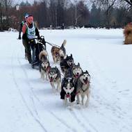 Nejdelší závodní trasa měla přes 11 km.