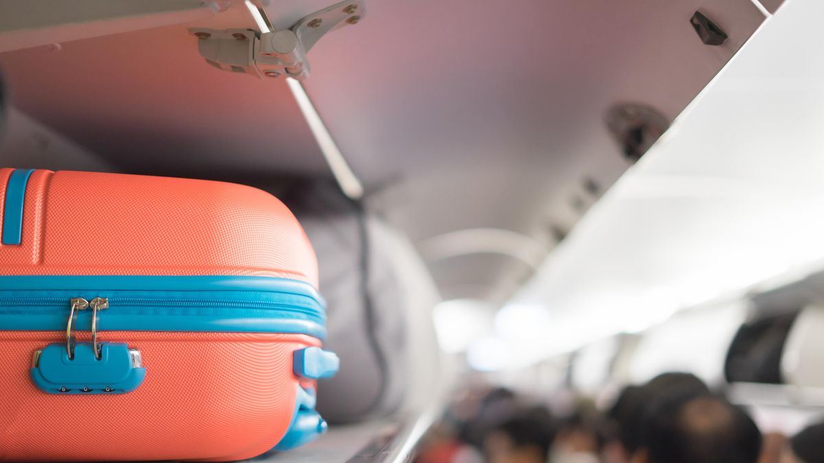 Příruční zavazadlo do letadla zdarma? Naprosté šílenství, tvrdí šéf easyJetu