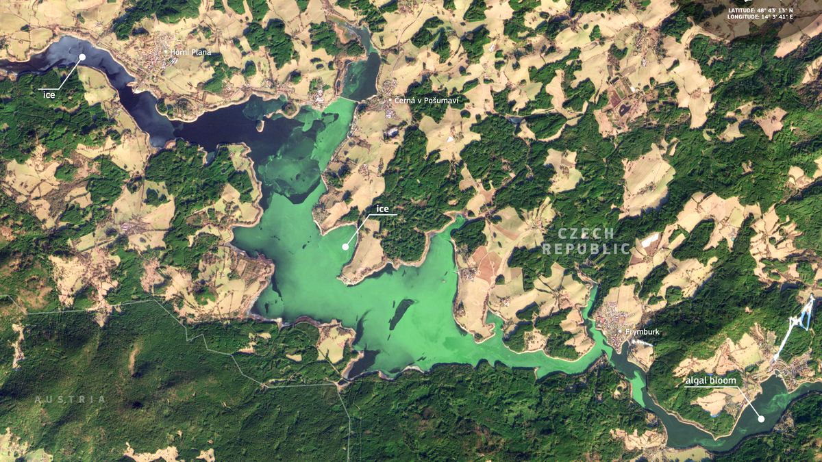 Zelený led na Lipně. Voda měla v prosinci stejnou koncentraci sinic jako kvetoucí rybníky v létě