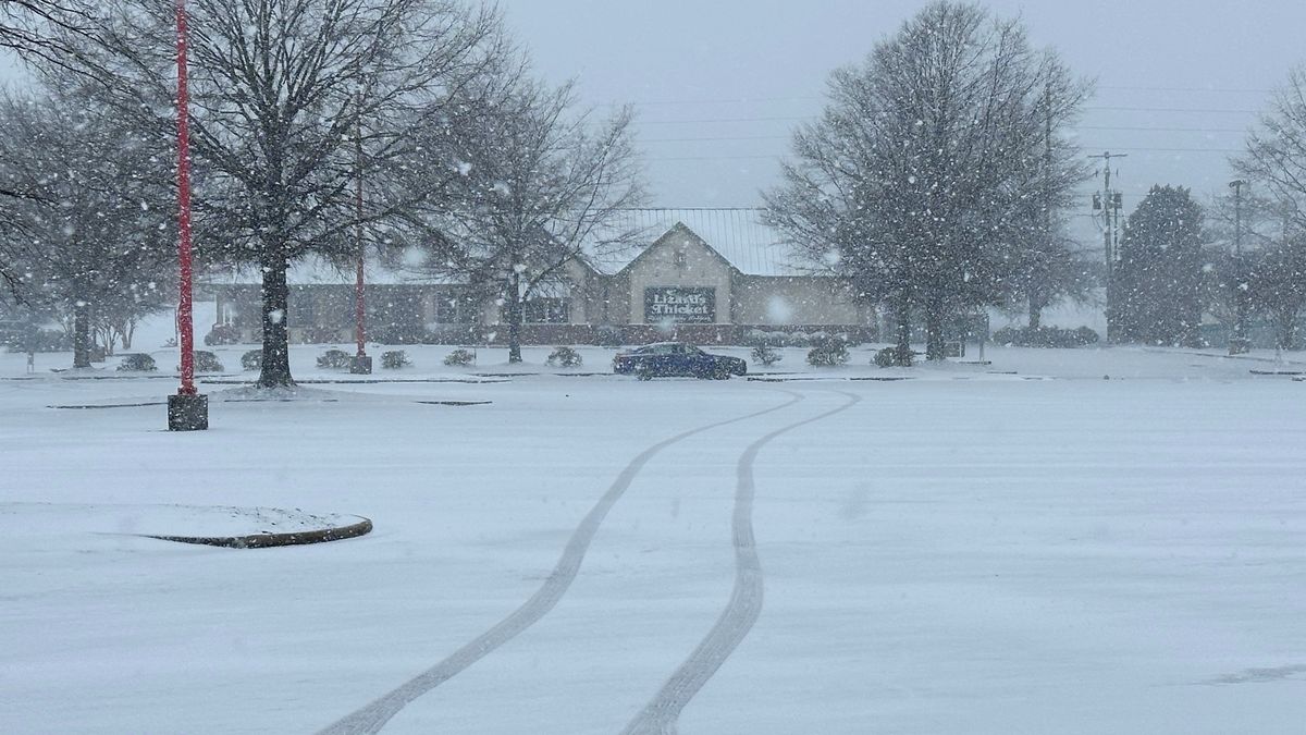Jihovýchod USA sužuje mráz, ze stromů padali leguáni