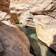 Ve vádí Bání Chálid okusují turisty malé rybky.