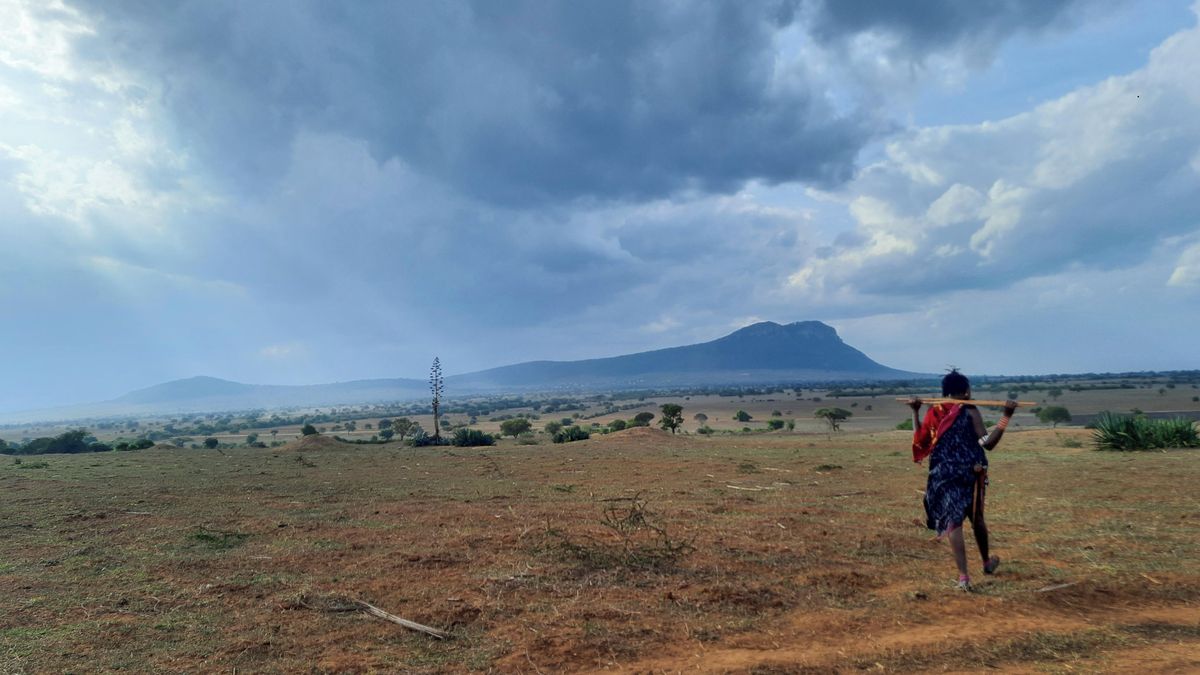 Kmen nutně potřebuje koupit pole a zasít. Češka se pokouší o zázrak