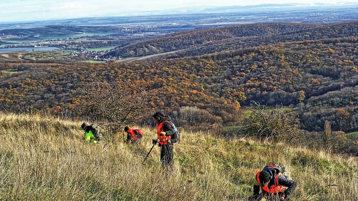 Největší hradiště doby bronzové na Moravě zničil vojenský konflikt. Stálo na Pálavě