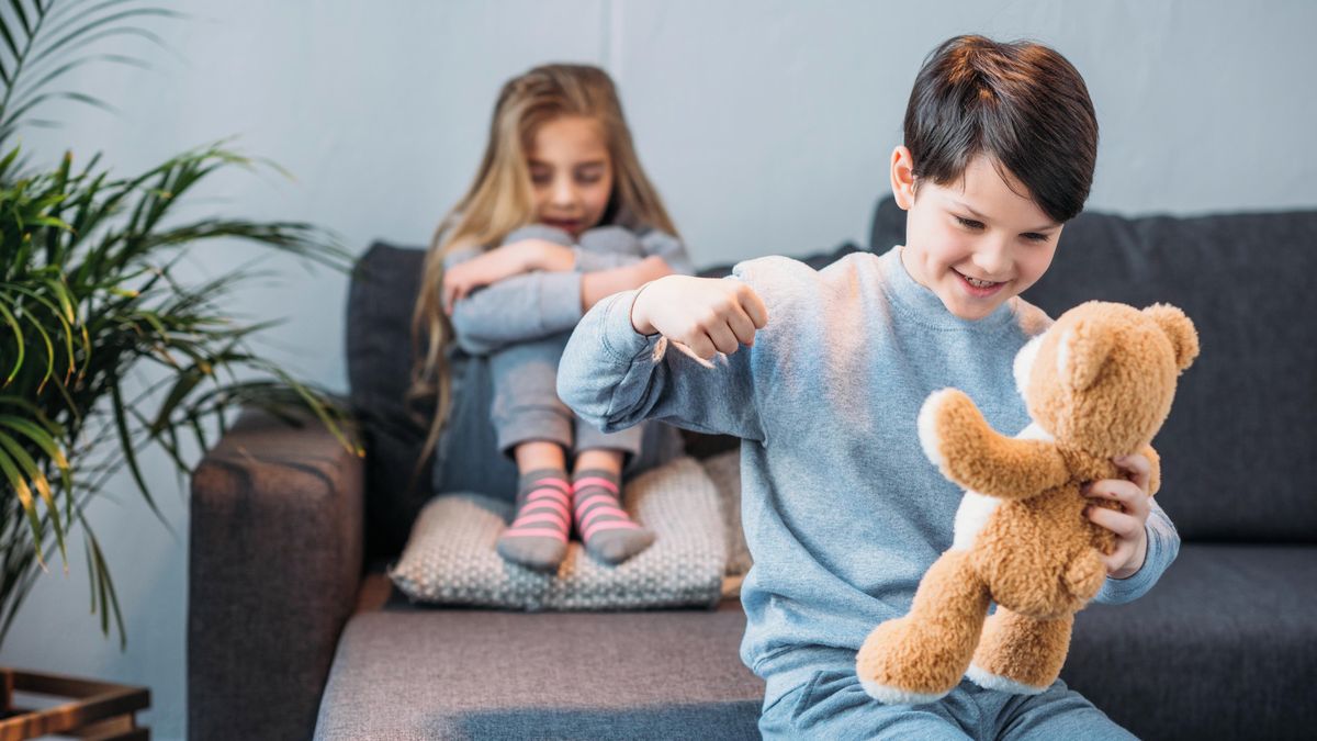 Zasměšňování, bití, sexuální zneužívání. I tak vypadá agrese mezi sourozenci