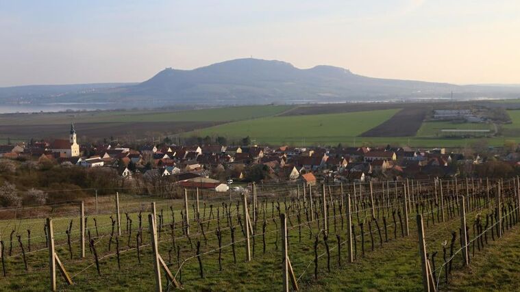 Sklizeň na polích jižní Moravy dvakrát ročně. Vodu by mohl poskytnout Dunaj