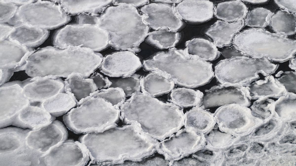 Pobřeží Baltu pokryly impozantní ledové palačinky