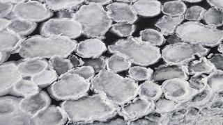 Pobřeží Baltu pokryly impozantní ledové palačinky