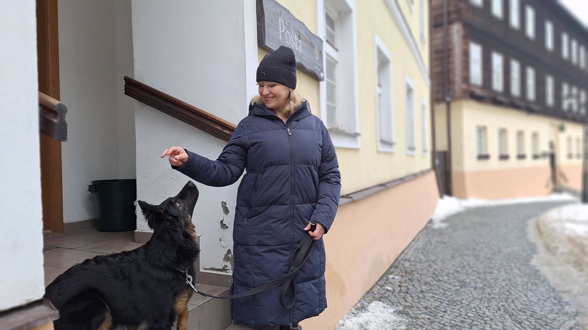 Se psem do lázní? Zájem Čechů roste, ale nabídka zůstává omezená