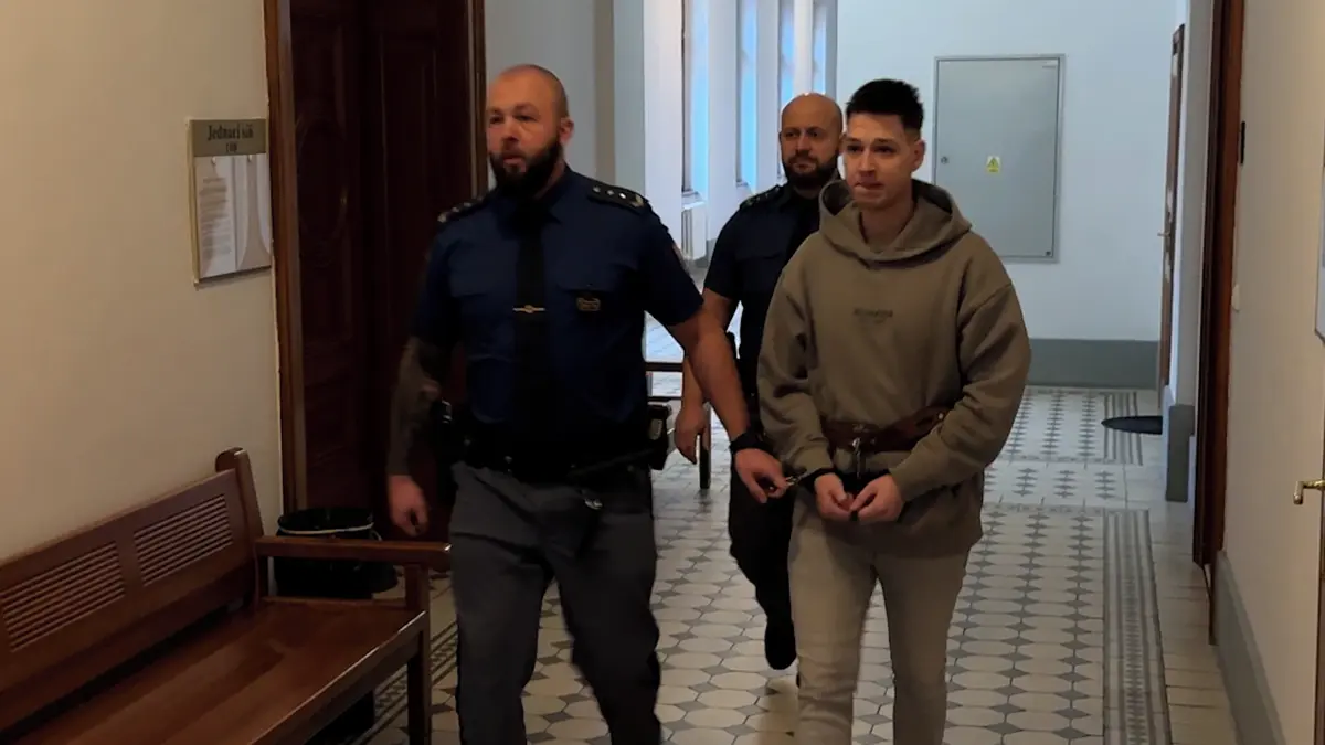 Popelář ze Sušice bodal náhodného muže do krku a hrudi. Dostal 17 let vězení