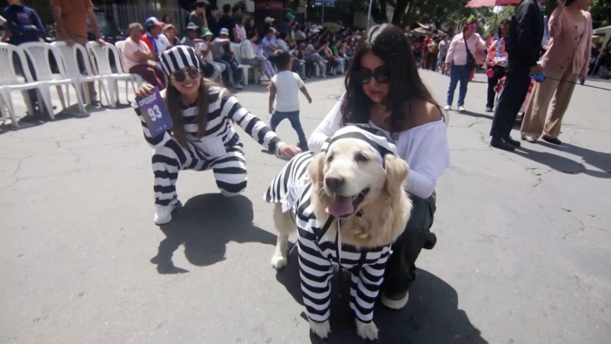 Jako vězni či motýlci. V Bolívii uspořádali karneval i pro psy 