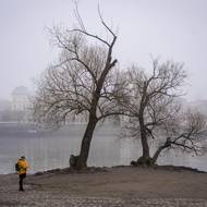 Mlha na Karlově mostě a Malé straně