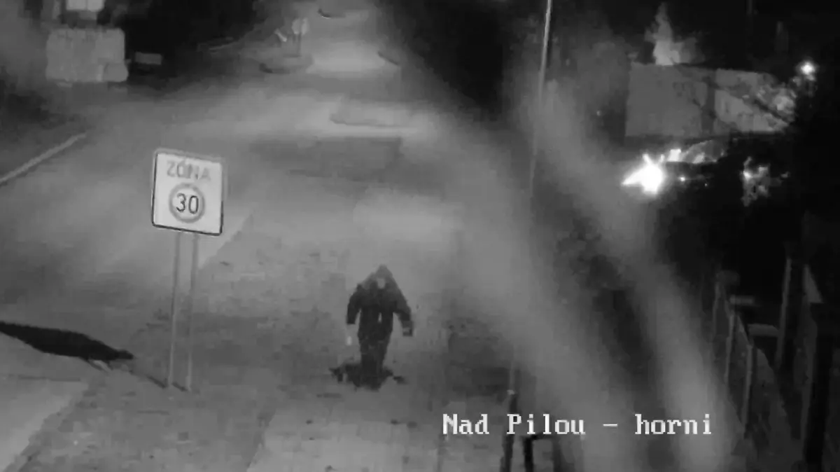 Zaplatil žháře, aby zapálili auto hlubockému zastu
