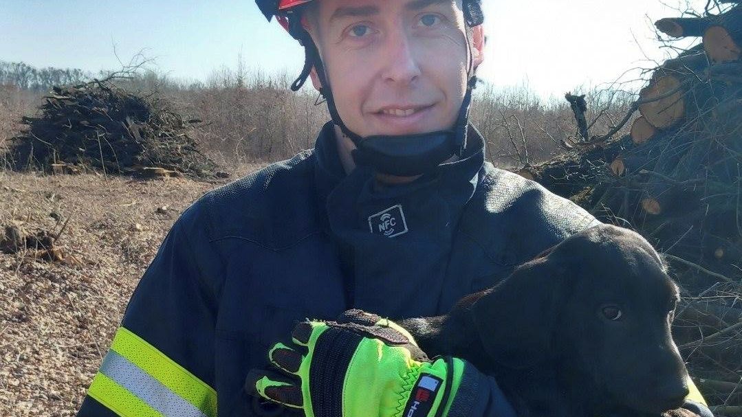 Pes v lese u Brna zalezl pod hromadu dřeva. Při záchraně pokousal hasiče