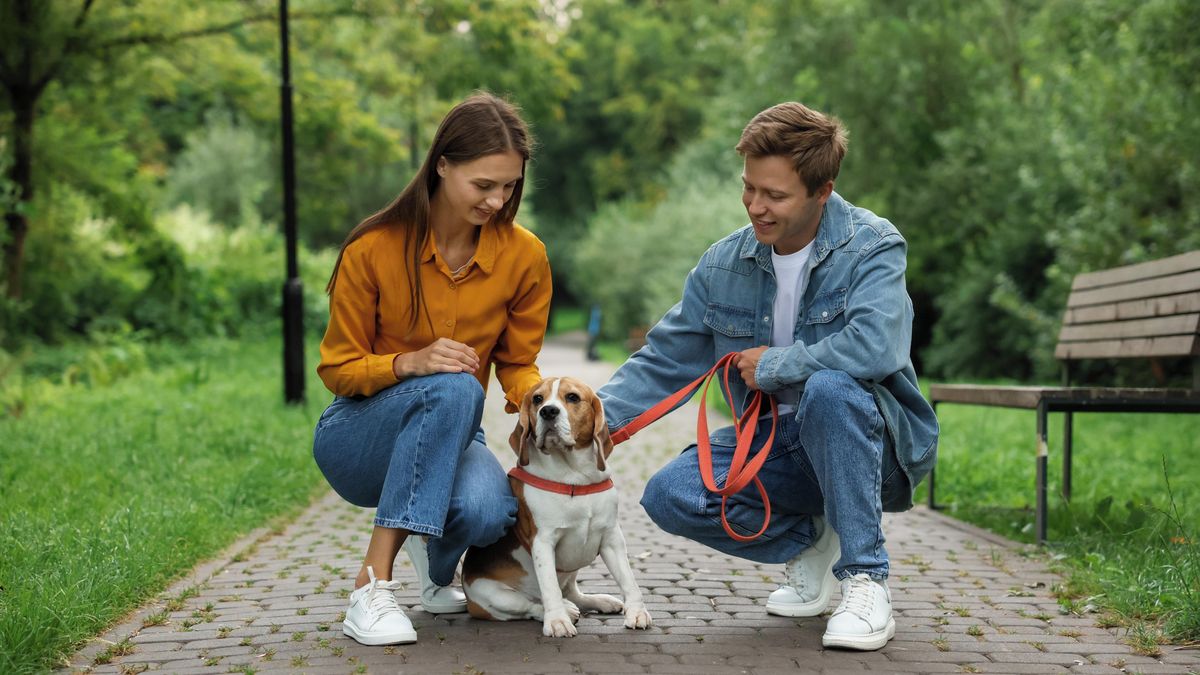Ombudsman se zastal pejskařů. Radnice je sice osvobodila od poplatků, ale jen za cenu zbytečné byrokracie