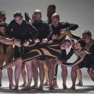 Být součástí celku může být uspokojující.