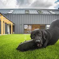 Z obytné části je přímý vstup na terasu a do zahrady. Velkoformátová okna stírají hranici mezi interiérem a exteriérem.