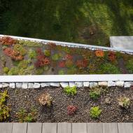 Stavba má extenzivní zelenou střechu.  