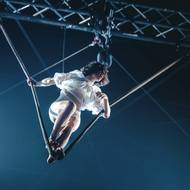 Scéna není pouhou kulisou, ale aktivním partnerem performerů – místem proměny, svobody i nečekaných zvratů. Světlo, kostýmy, tělo a pohyb se zde spojují v jeden kompaktní, vizuálně podmanivý celek.