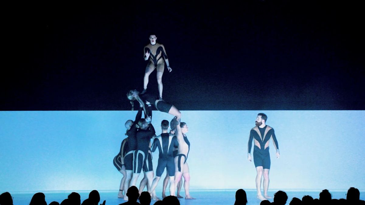 Svět patří psům. Staň se vlkem! Australané se představí na Letné