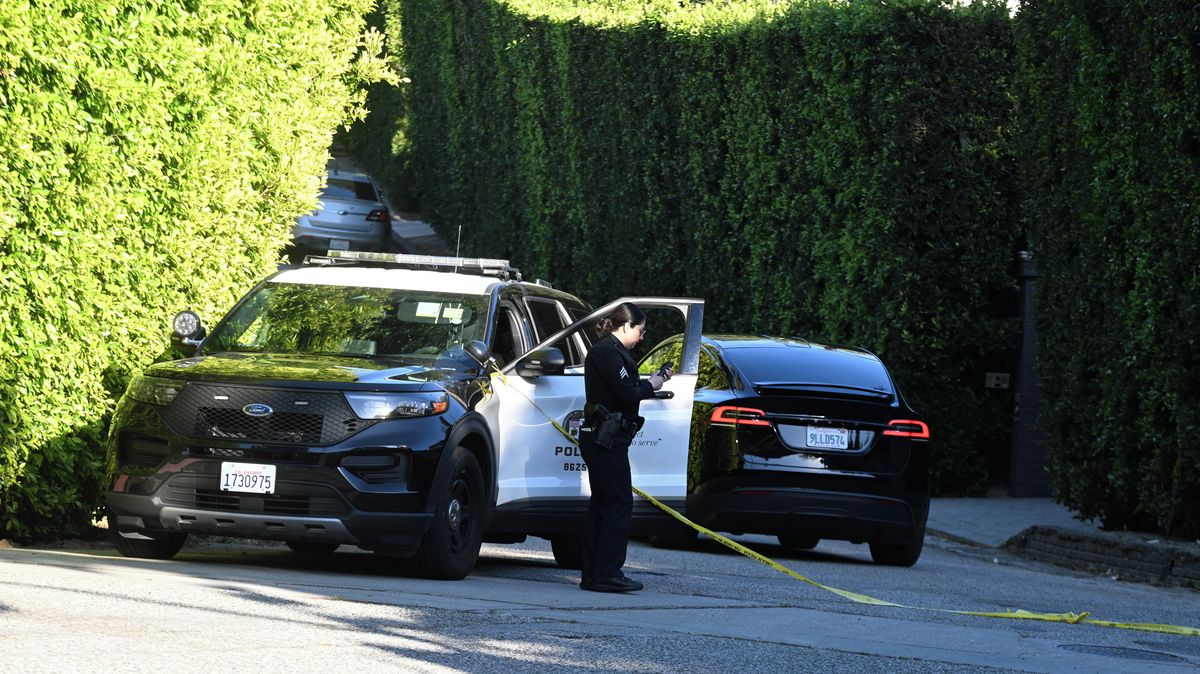 Ženu, která střílela na dům Rihanny, obvinili z pokusu o vraždu