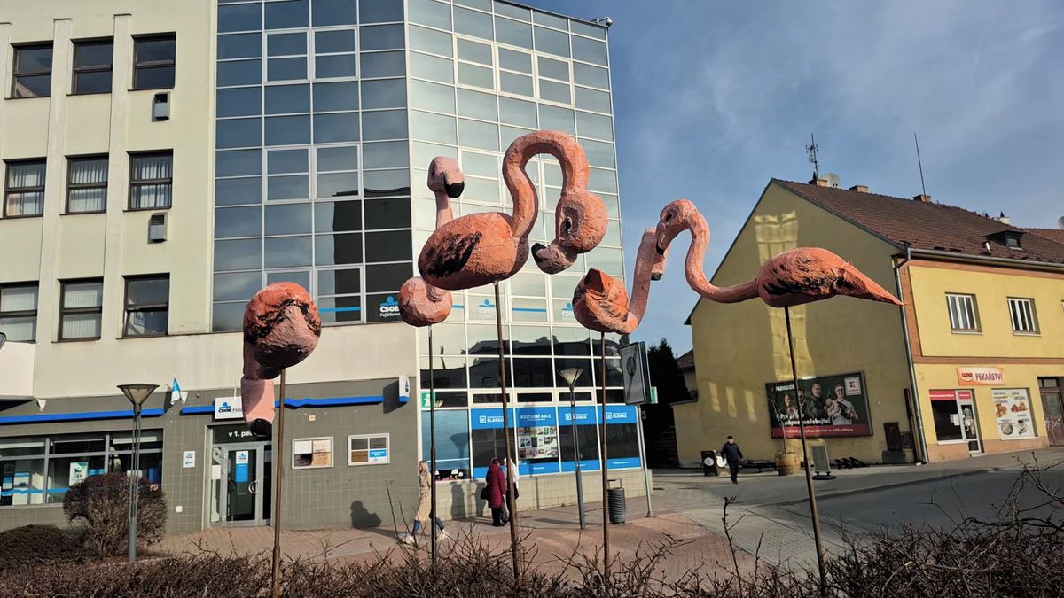 Atrakcí Blanska se stalo hejno plameňáků. Jsou sice nehybní, přesto si našli zástupy fandů