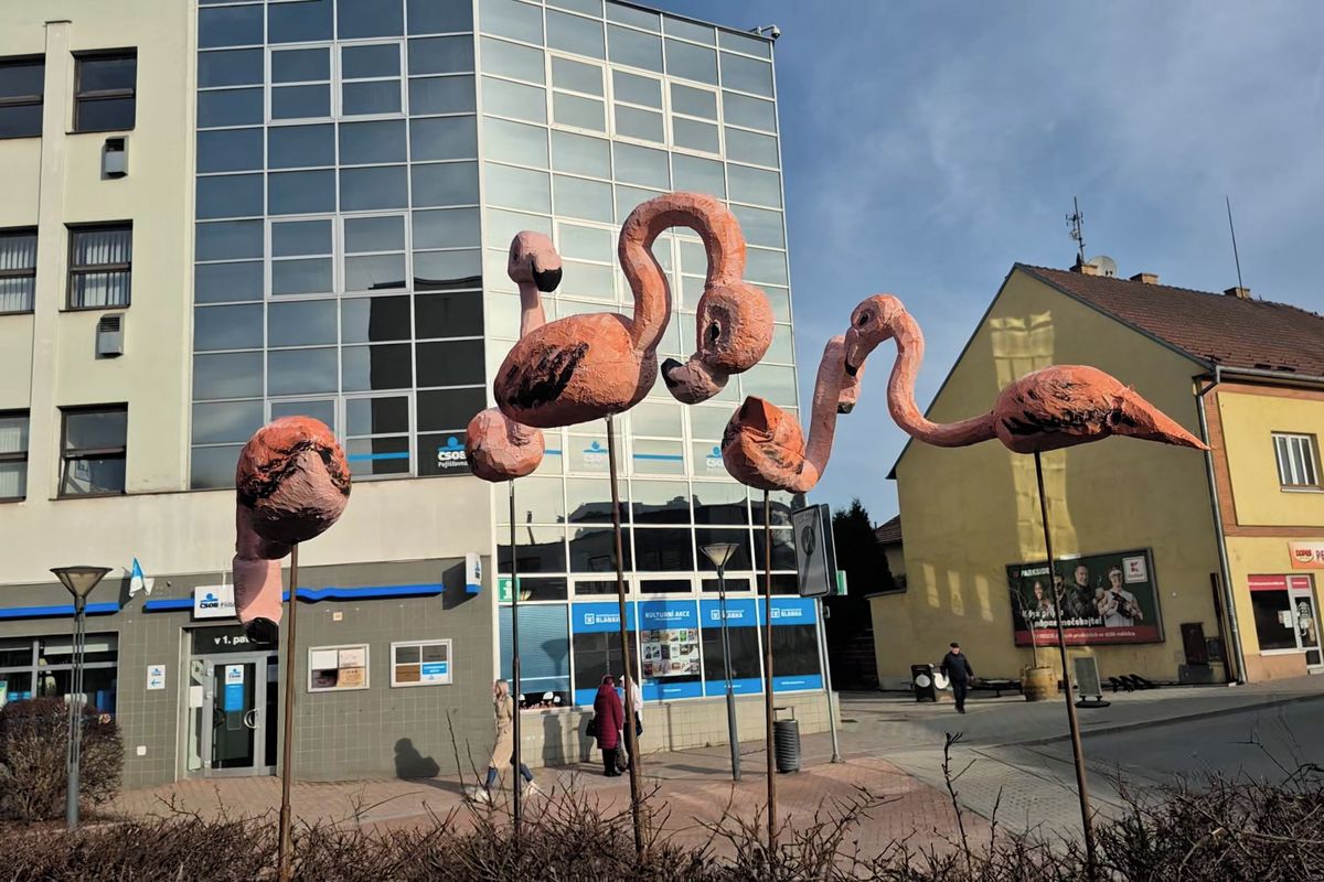 Atrakcí Blanska se stalo hejno plameňáků. Jsou sice nehybní, přesto si našli zástupy fandů