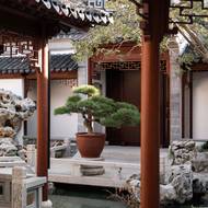 Každý detail v zahradě je velice pečlivě navržen.