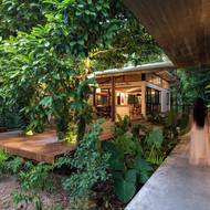 Dům není umístěný do džungle, ale stal se jeho přirozenou součástí.