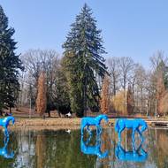 Trojice koní se zrcadlí na vodní hladině.