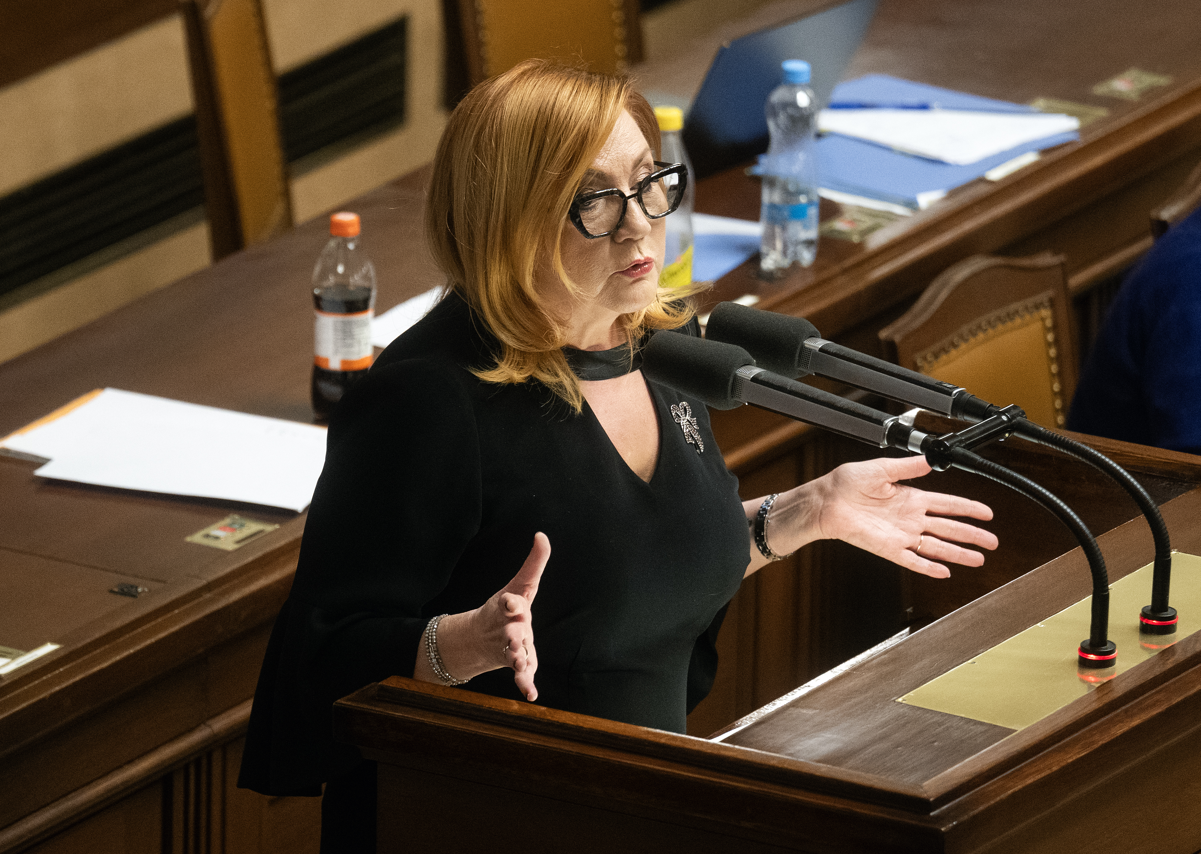 Schillerová không muốn giải quyết giá nhiên liệu bằng cách giảm thuế. Trước đây từng chỉ trích chính phủ về vấn đề này