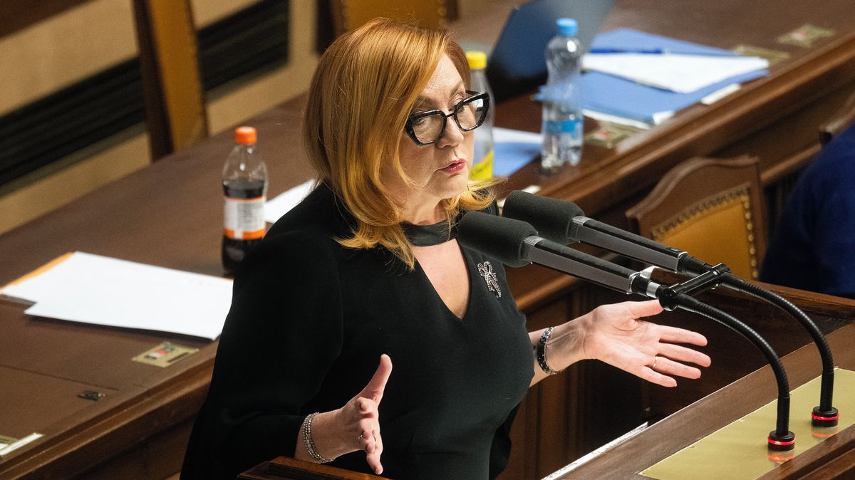 Schillerová nechce řešit drahá paliva snížením daní. Před čtyřmi lety to vládě naopak radila