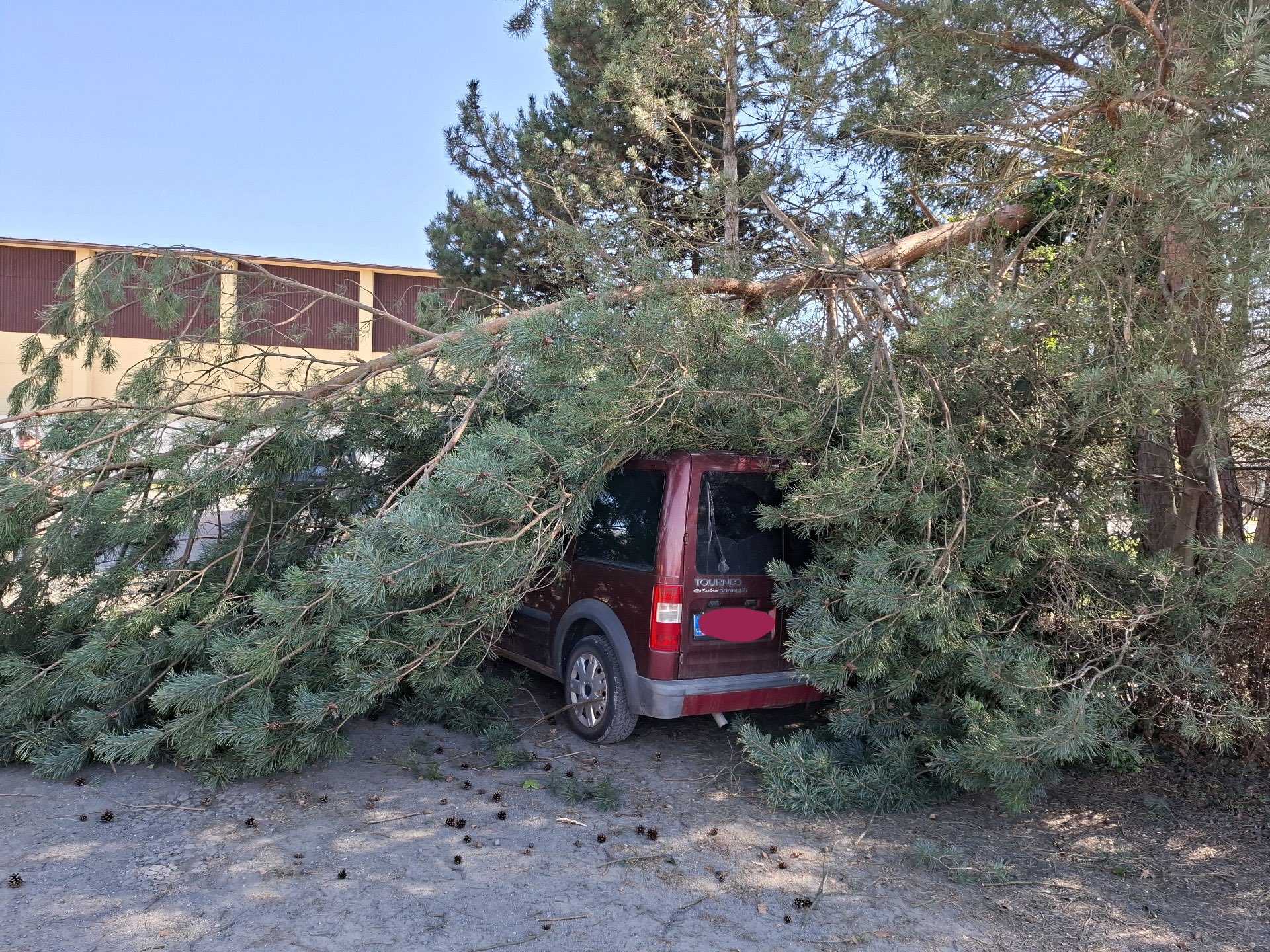 Hàng Chục Lần Cứu Hộ. Lính Cứu Hỏa Tại Olomouc Dọn Dẹp Thiệt Hại Sau Cơn Bão Mạnh