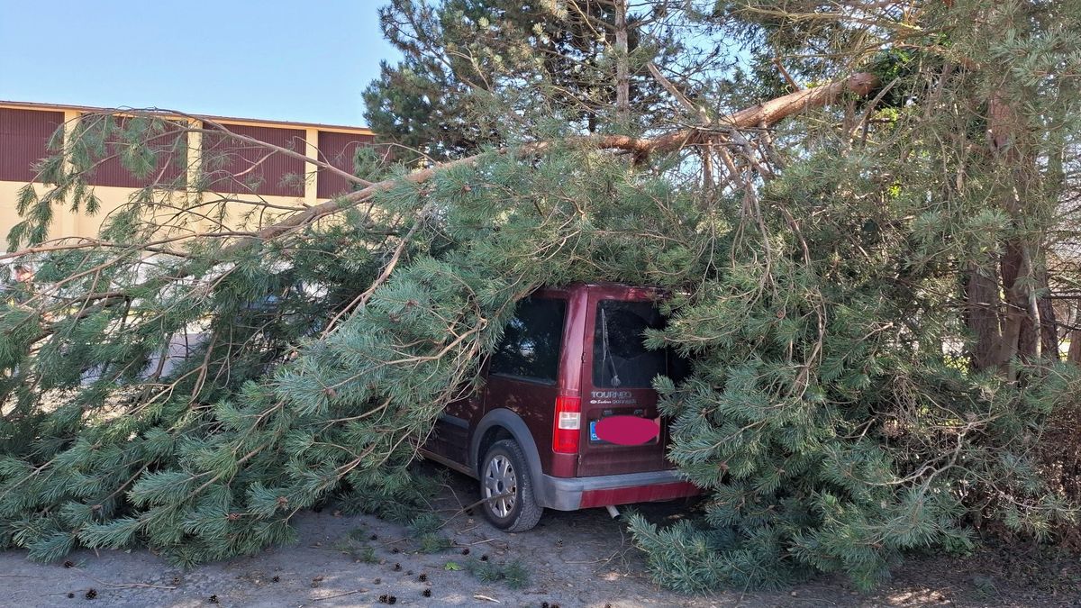 Desítky zásahů. Hasiči na Olomoucku likvidují škody po silné vichřici